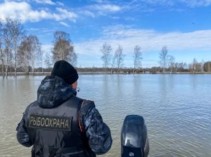 В Тюменской области сотрудники Нижнеобского ТУ Росрыболовства спасли табун лошадей с жеребятами