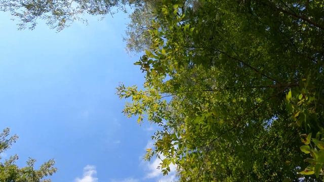 СПЛАВ ПАКРАФТАМИ РІКОЮ ІРПІНЬ | 2021 смотреть онлайн