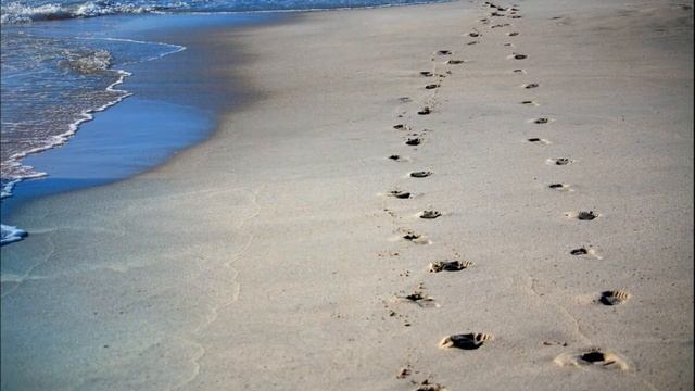 У лукоморья дуб зеленый..Читает учитель-логопед Дубина Е.В. смотреть онлайн