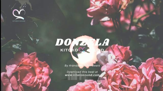 Kizomba Instrumental 2020 "Donzela" Instru Zouk Guitar x Instrumental Kompa смотреть онлайн