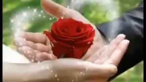 Белые крылья  Любимый мой христианская песня