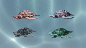 Психологический тест "Черепахи" | Выберите одну
