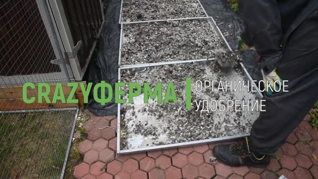 КАК ЭКОЛОГИЧНО УТИЛИЗИРОВАТЬ КУРИНЫЙ ПОМЕТ на своем участке❓