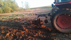 Трактор в деле! Т-25 с плугом! Пашем огород с однокорпусным плугом