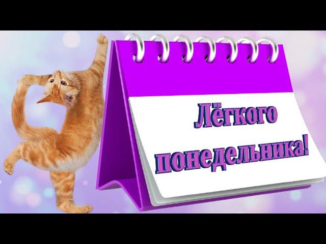 ЛЁГКОГО ПОНЕДЕЛЬНИКА!