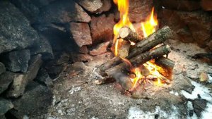 Одиночный кемпинг в лесу // поход выходного дня //