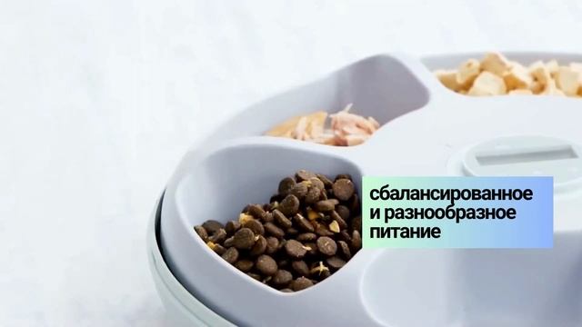 Автоматическая кормушка для кошек и собак Petwant F6 смотреть онлайн