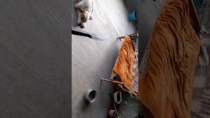 Нож-копьё | Пальма (оружие) | Топоры и томагавки | Ножи | Холодное оружие