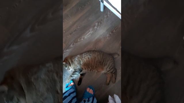 безопастность смотреть онлайн