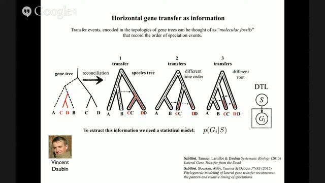 phyloseminar #37: Gergely Szöllősi, Eötvös Loránd Tudományegyetem смотреть онлайн
