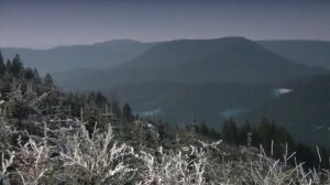 Зимний Шварцвальд