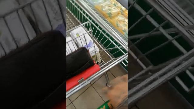 Золотой Ключик г. Вологда Ленинградская 84 смотреть онлайн