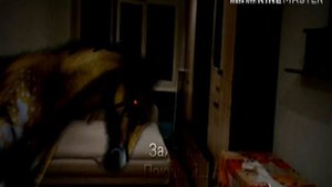 Wildcraft страшилка: голод в блокаду .