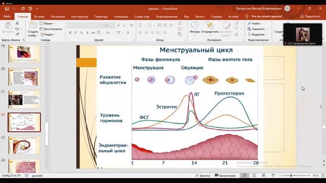 Лекция. Женская половая система Ч.2 30.11.2021