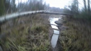 Охота на бобра капканами! Осень 2021. Добыл матерого бобра... Beaver hunting.