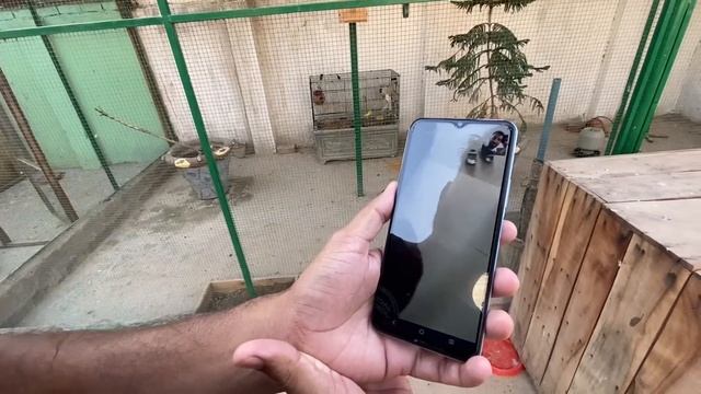 Aj Muft Main Kbooter Mila☺️ смотреть онлайн