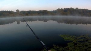 В поиске крупного окуня) Часть 1 ( тест спиннинга Major Craft Dodger 862MH)