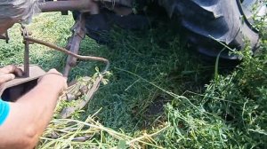 Трактор МТЗ 920 Беларус косит люцерну на сено сегментной косилкой. Belarus  #vseklevo #синийтрактор