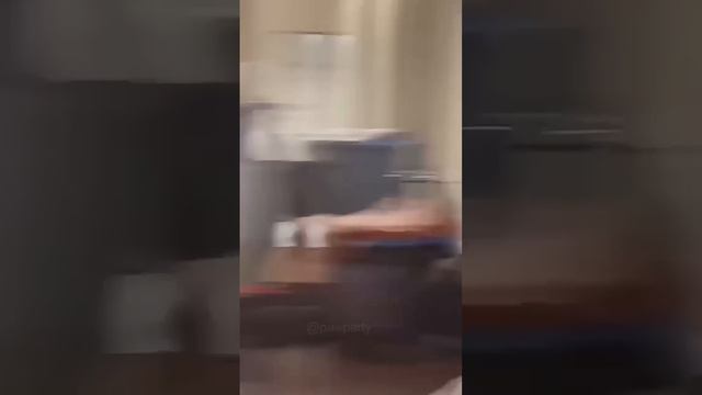 🐶 Funny Doberman of Internet | Knox the Doberman #4 | Paw Party 🔥 смотреть онлайн