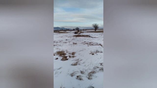 Сани - волокуши для снегохода из ПНД. смотреть онлайн