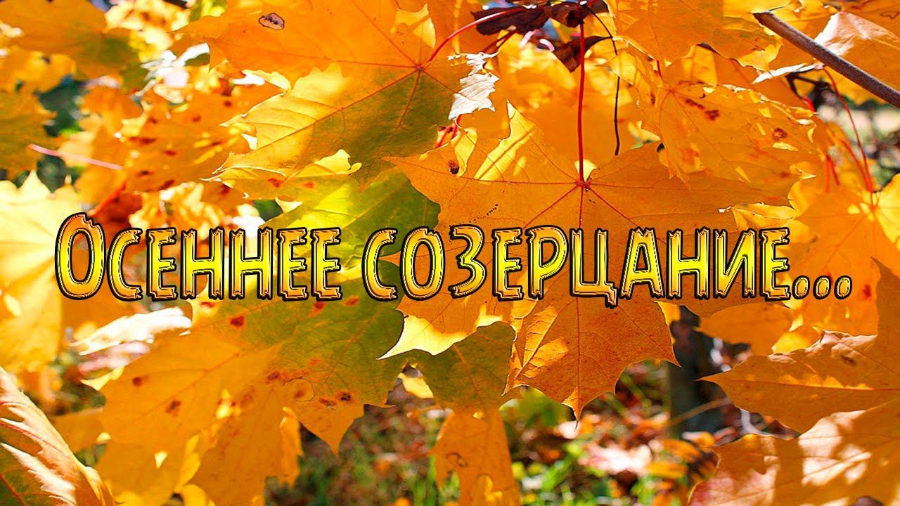 Осеннее созерцание*