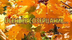 Осеннее созерцание*