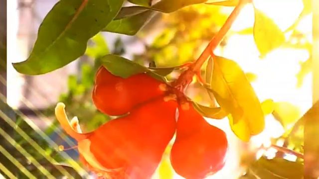 Пусть утро будет добрым! смотреть онлайн