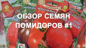 Обзор сортов семян помидоров (томатов) #1 Какие семена помидор лучше?