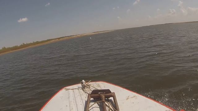 ПЕЛИКАН!!!Величественный полёт!!!HD