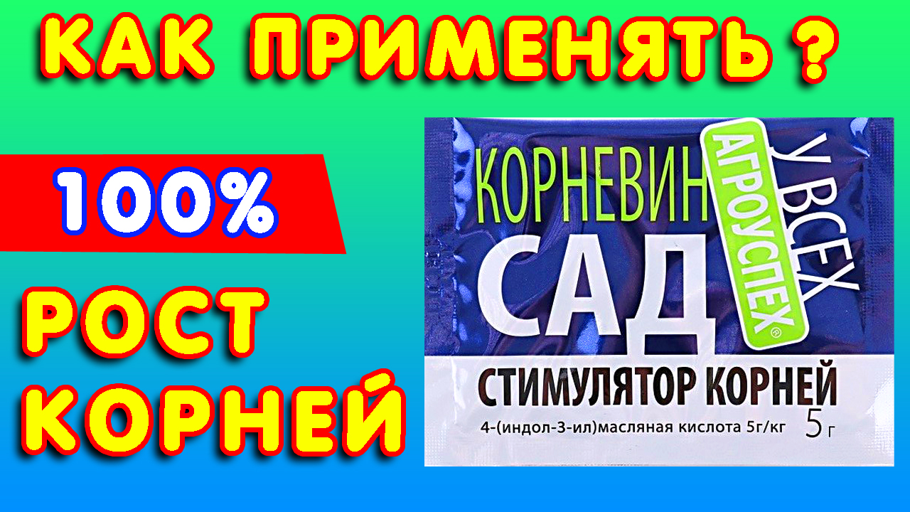 Корневин применение. Стимулятор роста корней для роз, черенков, саженцев Инструкция по применени