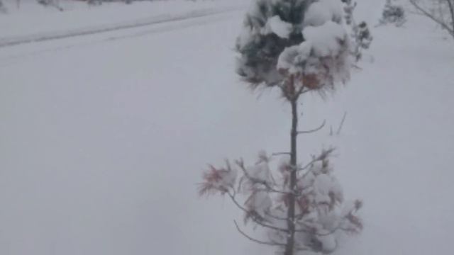 ШОШИЛИНЧ: КОР БУРОН КУЧЛИ СОВУК  ОГОХ БУЛИНГ СОВУК