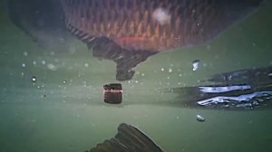 Карп и пеллетс под водой. Часть 1