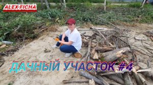 Дачный участок с нуля #4 Приобрёл электропилу Patriot и тачку