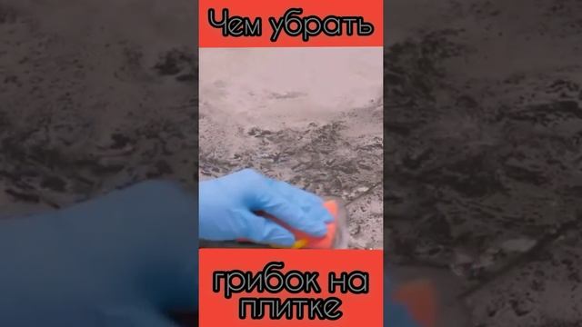 Чем убрать грибок в ванной на плитке!