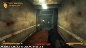 Fallout New Vegas обзор