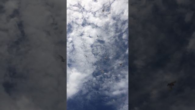 Колцо84.Форт-Шевченко смотреть онлайн