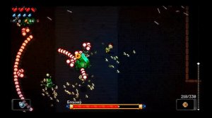 Enter the Gungeon: Блокнер