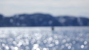 Рыбалка в Баренцевом море - 6. Ловля мойвы )