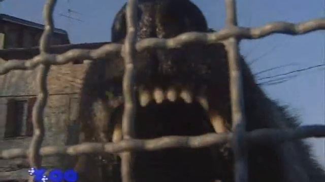 Kavkazskaya i sredneaziatskaya ovcharka clip1 смотреть онлайн