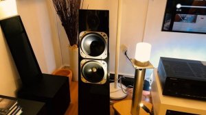 Muzishare X7 driving Totem Earths playing "A Lover In Berlin"