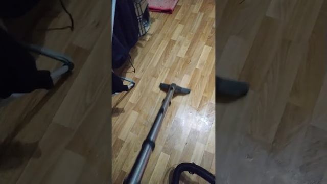 Тест пылесоса Thomas Super 30s Aquafilter смотреть онлайн