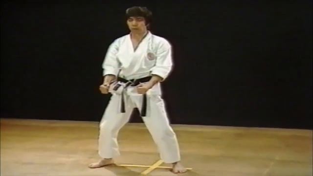 Kata Heian Nidan - Karate Shotokan - Hirokazu Kanazawa смотреть онлайн