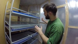 Я - фермер. Клетка для перепелов #1. Как сделать правильно.