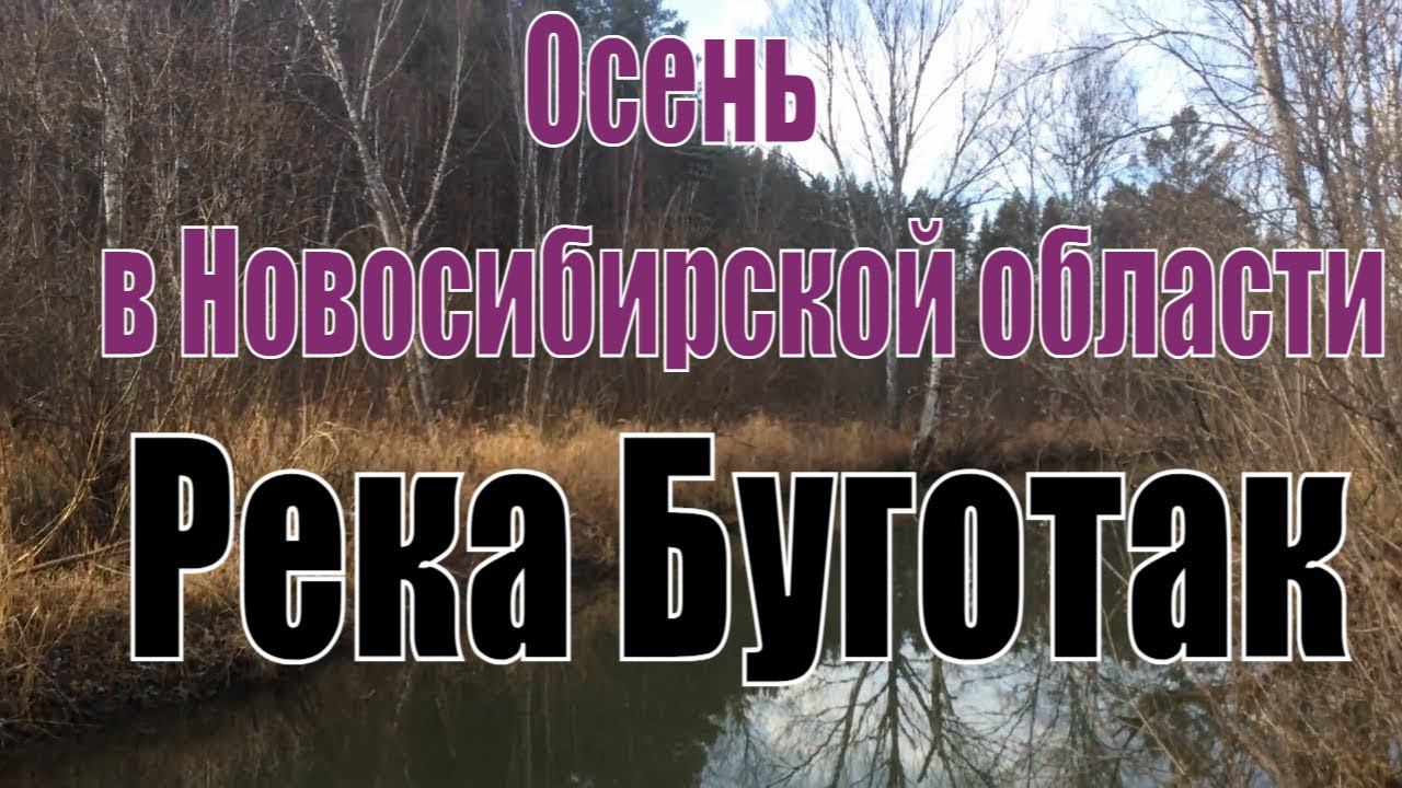 Осень в Новосибирской области.  Природа Тогучинского района. Осенний лес, река Буготак.