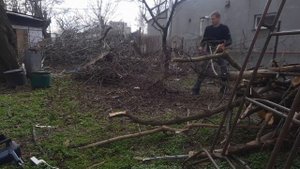 Корчую ДЕРЕВЬЯ как трактор! Простая методика как корчевать деревья без трактора своими руками.