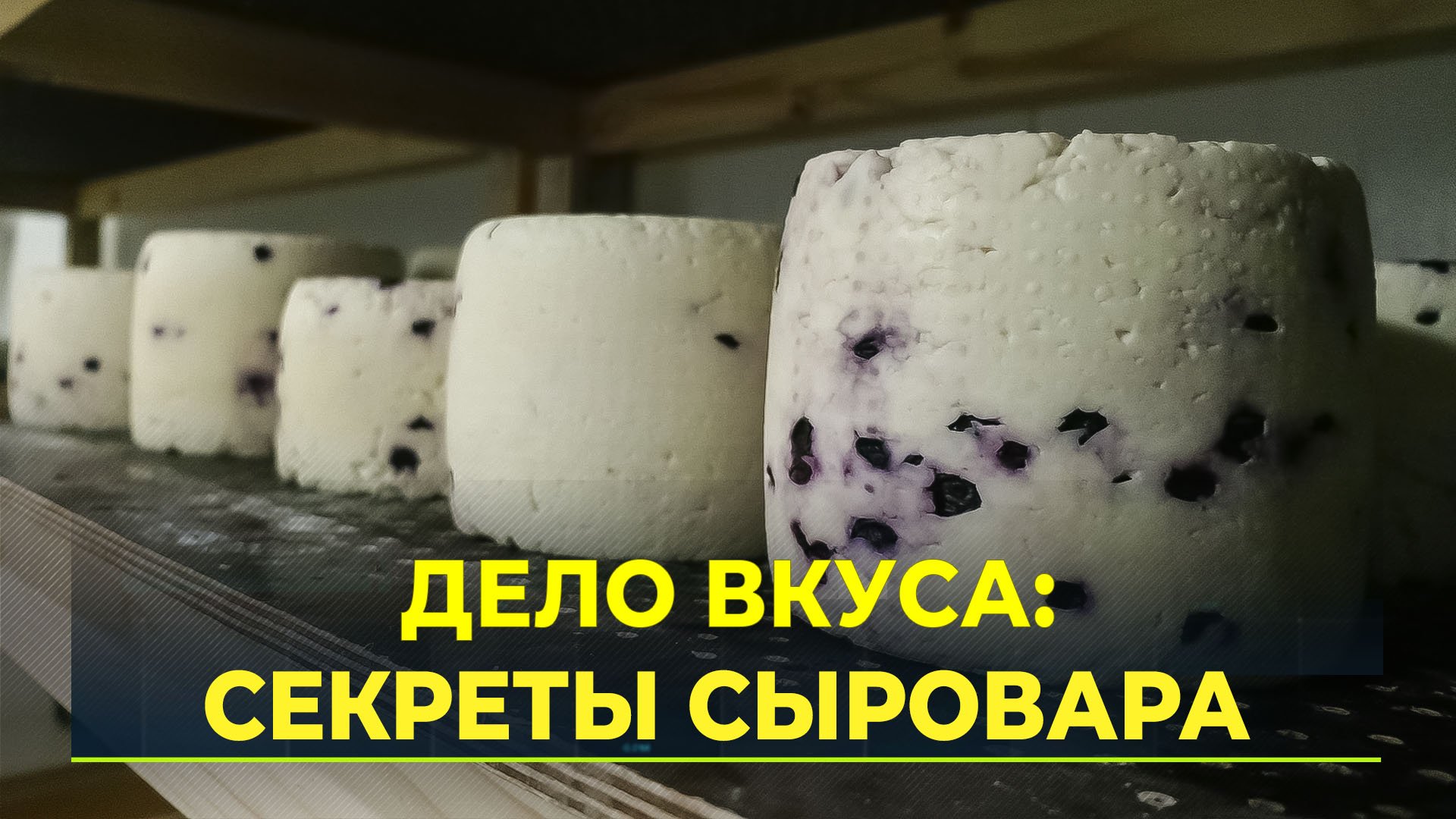 День сыровара: как делают сыр в Салехарде
