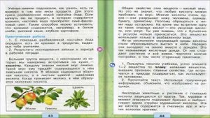 Разнообразие веществ. Окружающий мир. 3 класс, 1 часть. Учебник А. Плешаков стр. 41-45