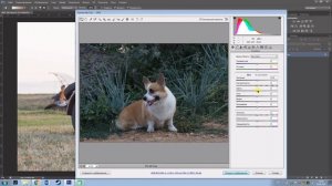 Работа в camera raw, как открыть jpeg формат в камере рав.