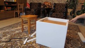 ИДЕАЛЬНЫЙ ПОДАРОК НА НОВЫЙ ГОД ДЛЯ КОТОВ! КОТ МАЛЫШ И КОШКА МУРКА! ИДЕЯ Подарков на новый год