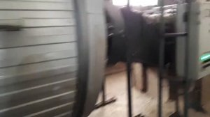 Оборудование для переработки древесных отходов.